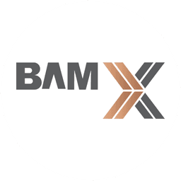 BAMX Development logo