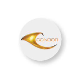 Condor logo