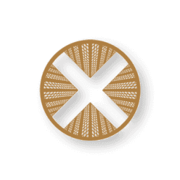 TownX Development logo