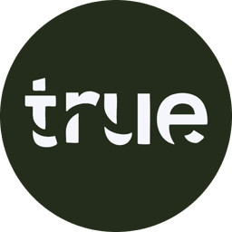 True Future Real Estate Development logo